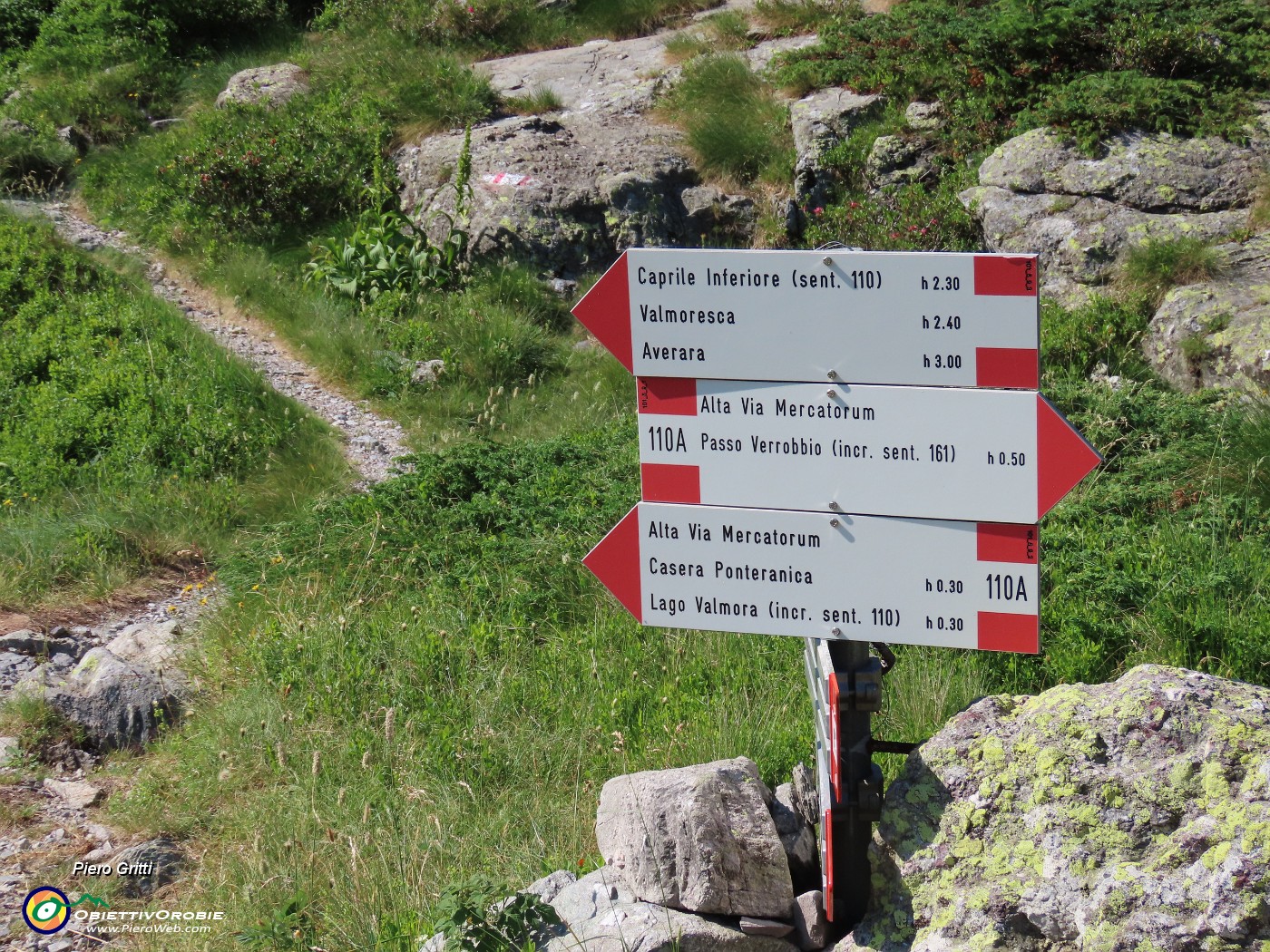 23 Lasciato il sent. 101 prendiamo a dx il sent. 110A (Alta Via Mercatorum) per salire al Passo di Verrobbio.JPG